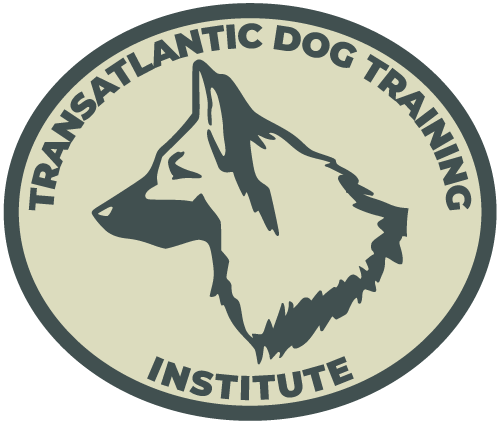 Transatlantic Dog Training Institute Logo